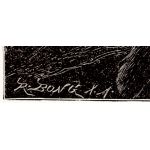 Подпись гравера: Рихард Бонг (Rich. Bong)