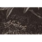 Подпись гравера: А. Фидлер (A. Fiedler)