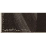 Подпись гравера: Рихард Бонг (Rich. Bong)