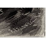 Подпись гравера: Ф. Фельдвег (F. Fekdweg)