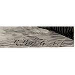 Подпись гравера: Рихард Бонг (Rich. Bong)