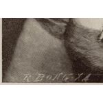 Подпись гравера: Рихард Бонг (Rich. Bong)