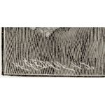 Подпись гравера: Герман Гедан (Hermann Gedan)