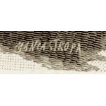 Подпись гравера: Манкаштропа (Mancastropa)