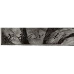 Подпись гравера: Рихард Бонг (Rich. Bong)