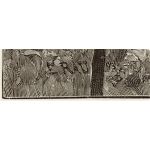 Подпись художника: Emil Rau