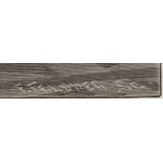 Подпись гравера: Ф. Фелдвиг (F. Feldweg)