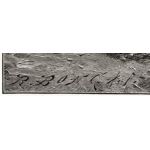 Подпись гравера: Р. Бонг