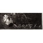 Подпись гравера: Рихард Бонг (Rich. Bong)