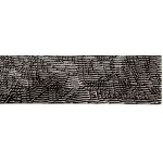 Подпись художника: Фридрих Хидеманн