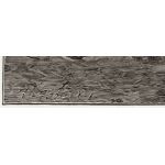 Подпись гравера: Рихард Бонг (Rich. Bong)