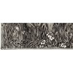 Подпись гравера: Рихард Бонг (Rich. Bong)