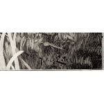 Подпись художника: Юлиус Экстер (Julius Exter)