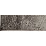 Подпись гравера: Рихард Бонг (Rich. Bong)