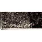 Подпись гравера: C.Köhnlein