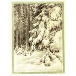 Тайга. Выпал снег