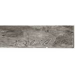 Подпись гравера: Рихард Бонг (Rich. Bong)