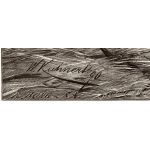 Подпись гравера: Рихард Бонг (Rich. Bong)