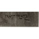 Подпись художника: Ernst Platz