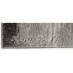 Подпись художника: Рихард Бонг (Rich. Bong)