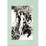 Иллюстрация 1