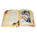 Иллюстрация 1