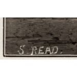 Подпись художника: С.Рид (S_Read)